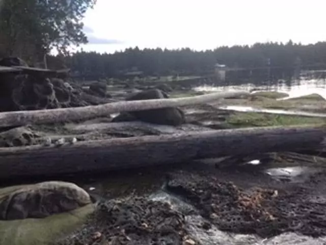 BA11E726E0154803A11708167C581148 BA11E726E0154803A11708167C581148