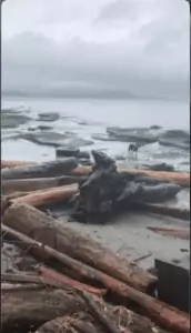 Screen Shot 2021-02-24 at 6.21.27 PM Screen Shot 2021-02-24 at 6.21.27 PM